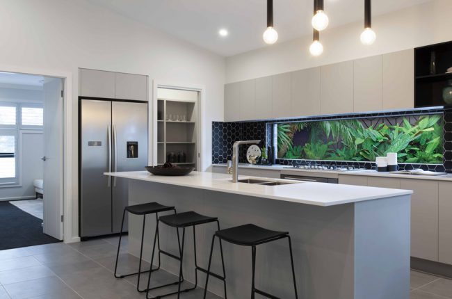 Open plan kitchen with plant wall