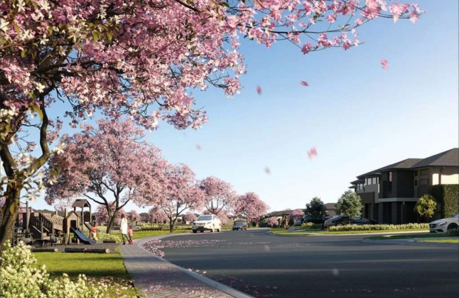 carmel view blossoms falling