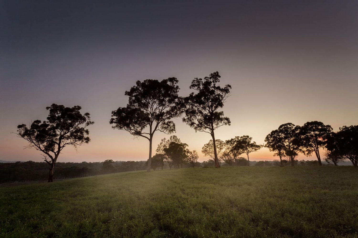 trees and grassland at the acres